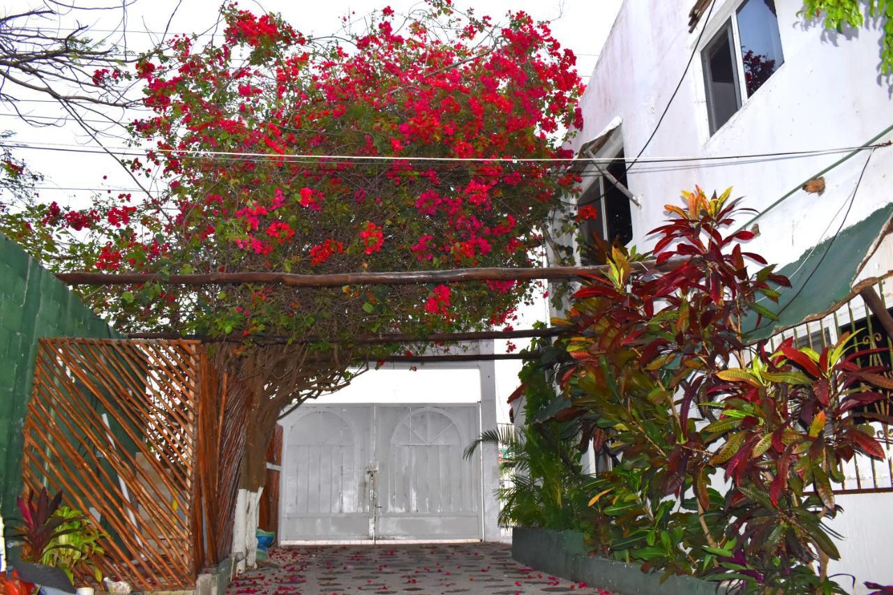 Lobo Inn Tulum Exterior photo