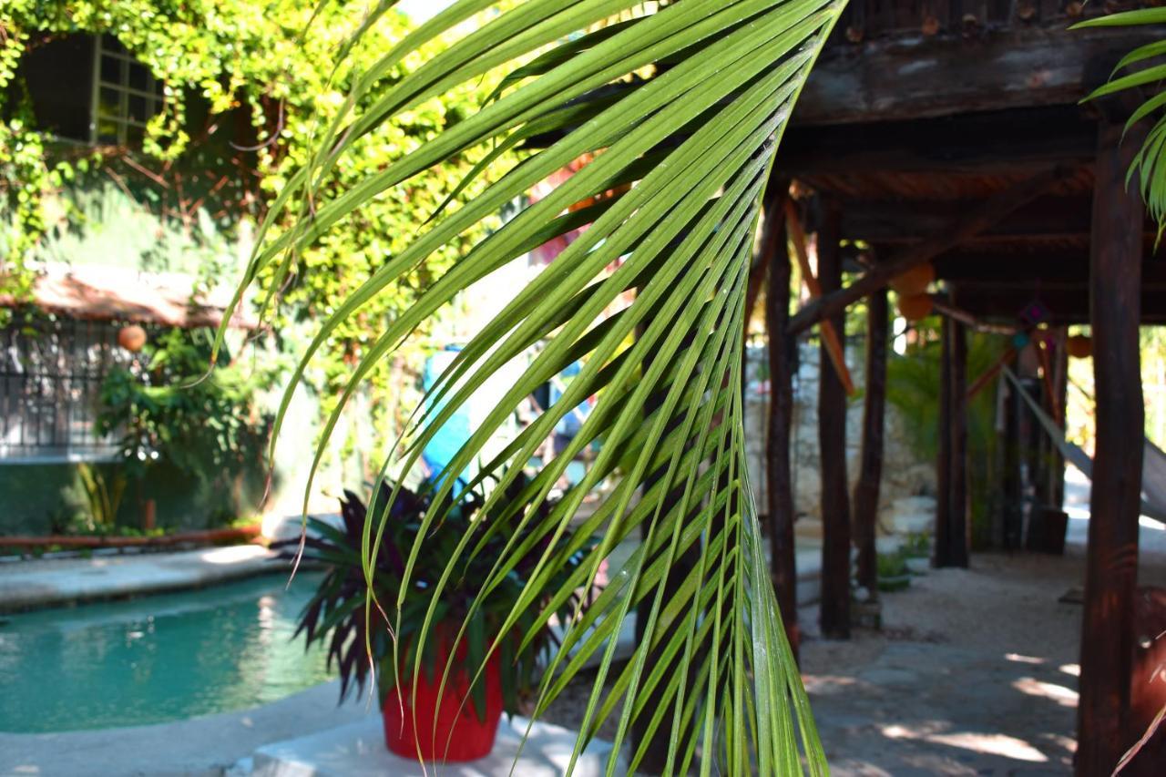 Lobo Inn Tulum Exterior photo