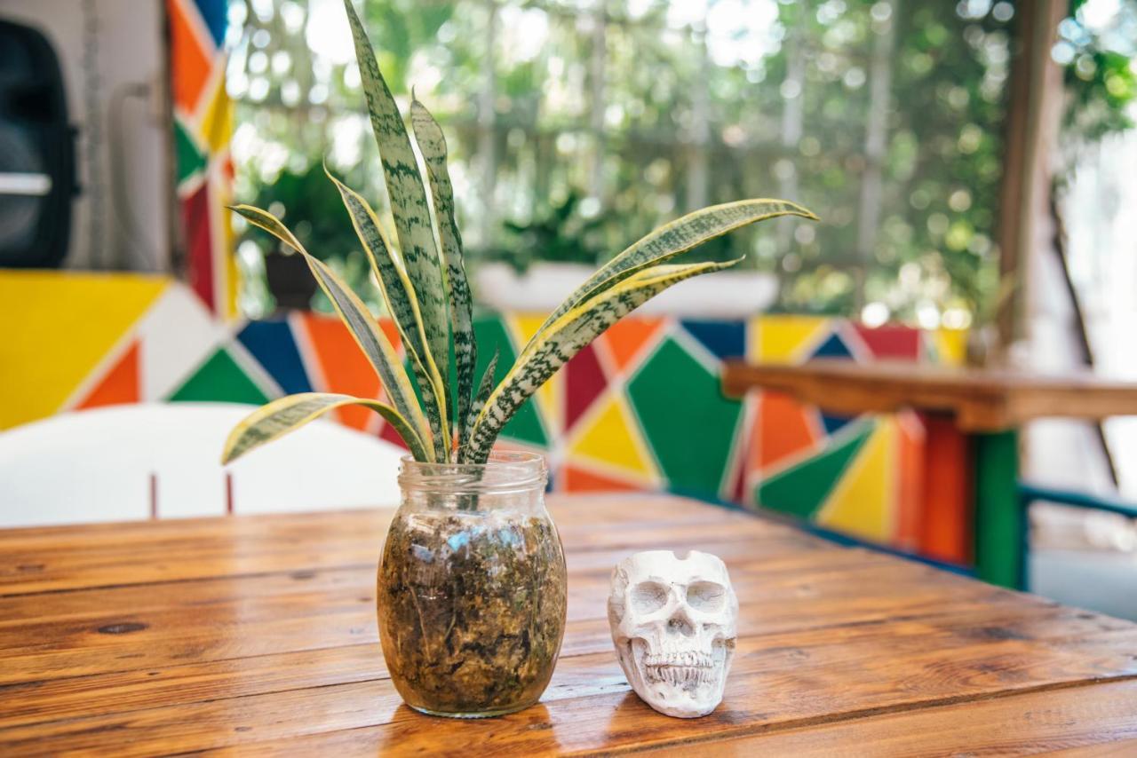 Lobo Inn Tulum Exterior photo