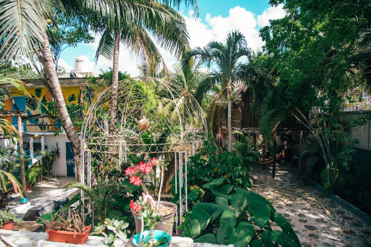 Lobo Inn Tulum Exterior photo